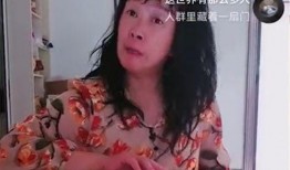 杨之楹被爆料家暴照片视频,真相与争议交织