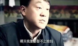 傻柱全集在线观看,笑料百出，温情满溢的喜剧之旅
