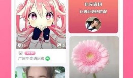 鳕鱼最新爆料新闻视频下载,揭秘幕后真相，视频内容引发热议