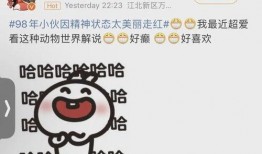 今日爆料精神小伙,今日爆料中的热血青春传奇