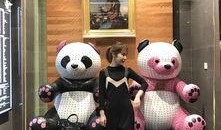 澳门大熊爆料事件视频,揭秘事件背后真相