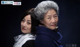 老有所依全集在线观看,岁月流转，亲情永恒