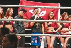 吃瓜娱乐拳击比赛直播视频,直播盛宴，精彩瞬间回顾