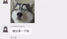 甜水小哥爆料视频播放,揭秘幕后真相，带你走进事件核心