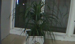 桂林人爆料新闻,神秘事件引发全民热议！