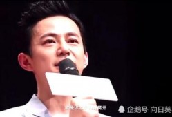 爆料何老师最新视频,揭秘幕后故事与精彩瞬间