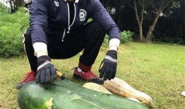 金乡最新大瓜爆料信息