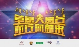 大舞台电台爆料视频在线观看,揭秘热门视频幕后真相