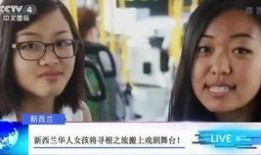 河南女孩爆料新闻报道,揭开校园霸凌背后的真相