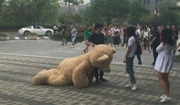 澳门大熊爆料事件视频,揭秘事件背后真相