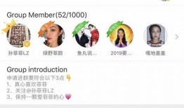 庆阳网红吃瓜群微信群号,揭秘微信群号的魅力与社交圈层