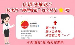 广西教育爆料最新消息新闻,多所高校改革举措及招生动态揭晓