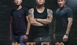 生死兄弟在线观看,生死相依，共度难关