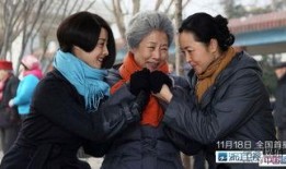 老有所依全集在线观看,岁月流转，亲情永恒