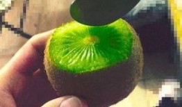 在线看抖音网红吃瓜,揭秘娱乐圈幕后故事