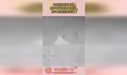 俄罗斯军舰爆料视频最新,最新爆料视频曝光惊人内幕！”