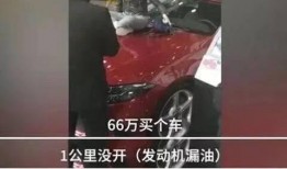 深圳车主李先生爆料视频,揭秘城市交通新现象