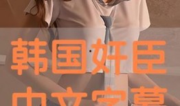 奸臣在线免费观看,揭秘宫廷权谋，免费观看尽享宫廷风云