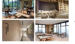 cfm女团活动最新爆料,神秘活动曝光，粉丝期待值飙升！