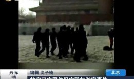 故宫最新爆料事件视频完整版,揭秘幕后真相与历史谜团