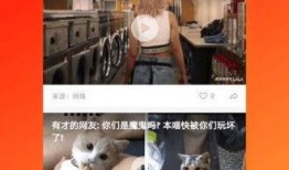 九九视频在线观看视频在线,畅享海量影视，在线观影新体验