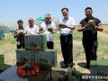 沾化区吃瓜最新事件爆料,揭秘背后真相与争议