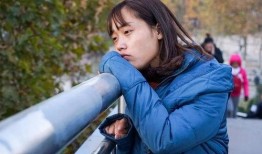 杨之楹被爆料家暴照片视频,真相与争议交织
