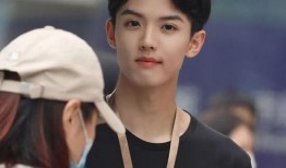 娱乐圈吃瓜双男主小说