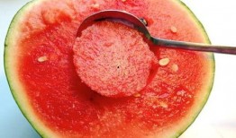 网红吃瓜大勺子图片