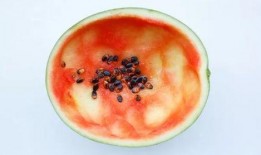 网红吃瓜大勺子图片