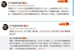 叶飞最新爆料的上市公司,揭秘上市公司内幕交易黑幕