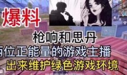 爆料火影主播是谁啊视频,火爆网络“爆料火影主播”身份之谜