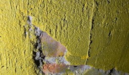 修水头最新爆料,揭秘背后惊人真相