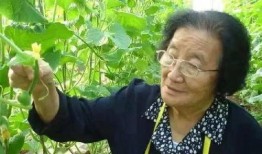 娱乐吃瓜君说二豆,二豆背后的故事与真相