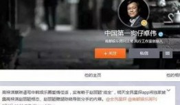 狗仔怎样爆料新闻事件视频,视频爆料新闻事件幕后真相