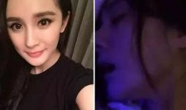 杨之楹被爆料家暴照片视频,真相与争议交织