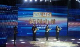 沈阳新闻媒体爆料,重大事件引发社会关注