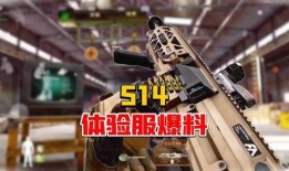 体验服最新爆料暗区,体验服爆料揭示神秘生成机制