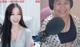德云嫂子爆料事件视频播放,揭秘娱乐圈背后的真相