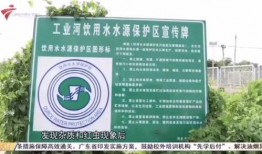 有人爆料今日关注吗,揭秘“有人爆料今日”背后的关注焦点