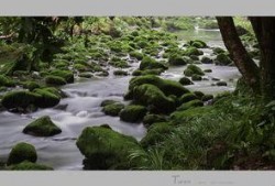 翡翠山谷在线观看,在线畅游神秘山谷的奇幻之旅