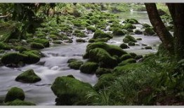 翡翠山谷在线观看,在线畅游神秘山谷的奇幻之旅