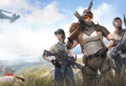 pubg最新手册爆料,最新绝地求生手册爆料，游戏新玩法与更新内容大揭秘