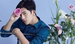 井柏然人品爆料视频大全,视频爆料背后的真实故事