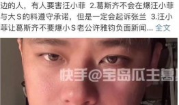 葛斯齐爆料汪小菲原视频,背后真相曝光