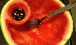 网红吃瓜大勺子图片