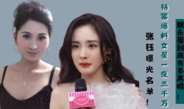 怎么看娱乐圈的明星爆料,娱乐圈明星爆料背后的真相与启示