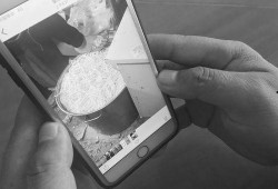 米线爆料视频在线观看,揭秘米线制作全过程