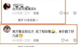 网红造假爆料视频,视频爆料揭露惊人真相