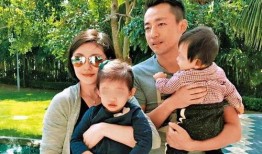 汪小菲事件爆料视频完整版,完整版爆料视频深度解析